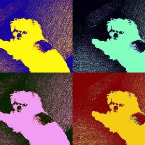 Meet your Posher, Ingrid